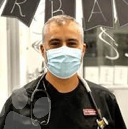Dr. Alonso Bayon