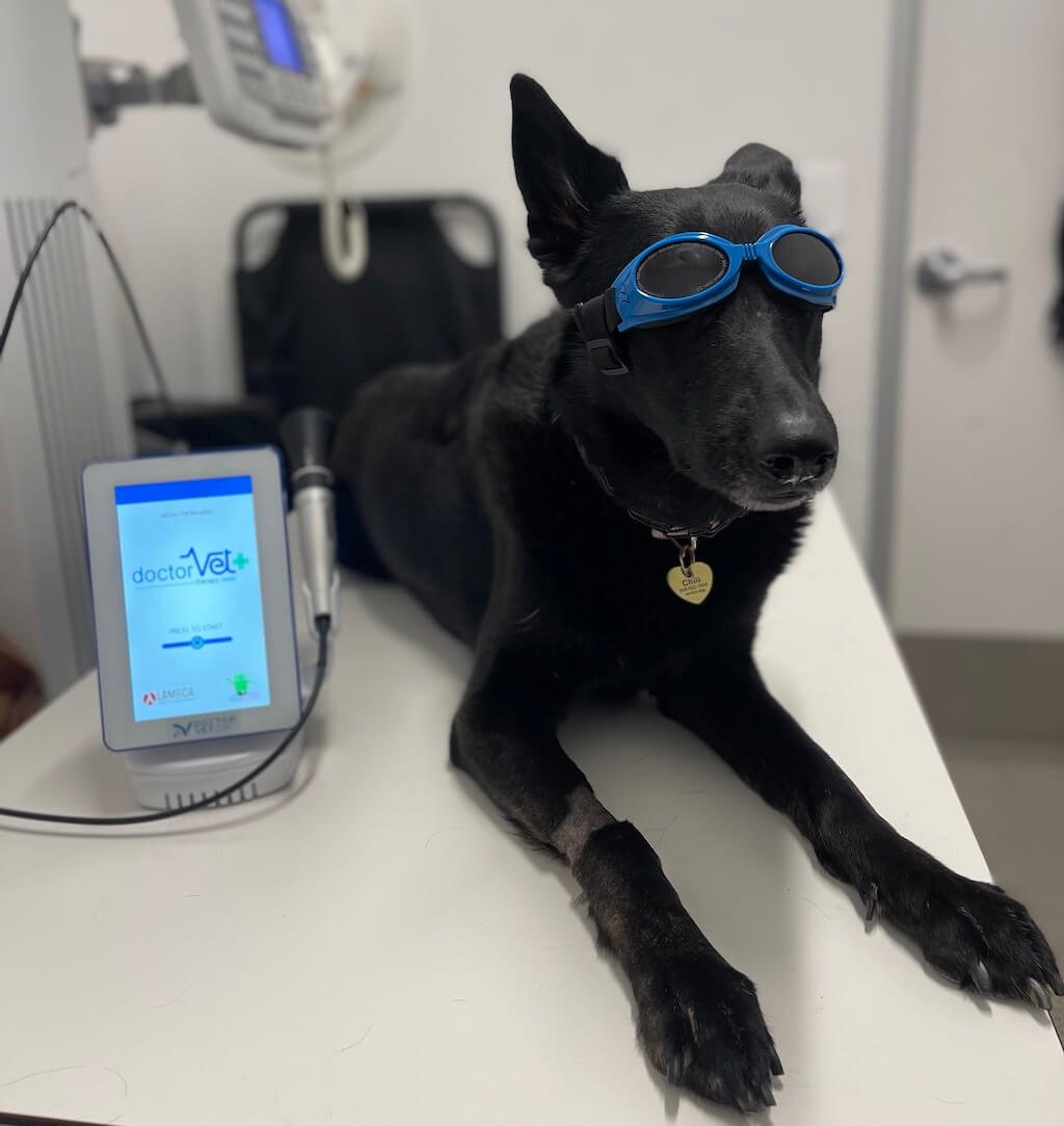 In-House Diagnostics