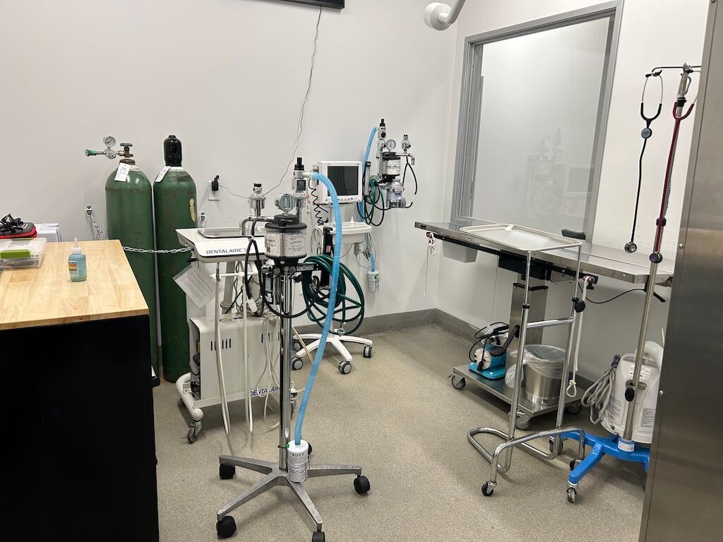 In-House Surgical Services