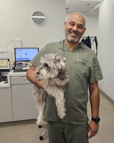 Dr. Mayor