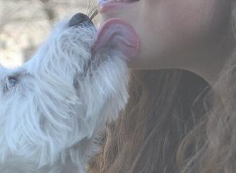 Can Your Pet Make You Sick?